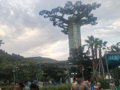 -苏州乐园森林水世界