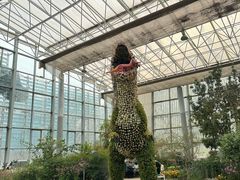 -沈阳植物园