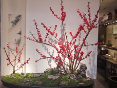 -双季花艺园艺市场(浦东店)
