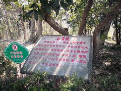 -上海佘山国家森林公园天马山园