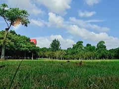 -瑶湖郊野森林公园