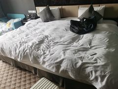 -常州环球恐龙城维景国际大酒店