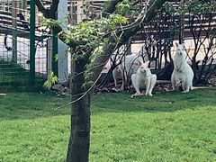 -无锡动物园·太湖欢乐园