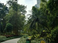 -晓港公园