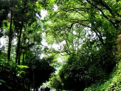 -浙江宾馆·花园餐厅·自助餐厅·茶吧