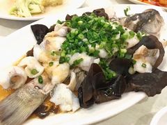 -广宁炭炉鸡煲·富临门饭店