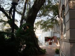 -香港大学