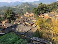 -杨家堂村