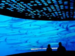 -同济大学四平路校区深海探索馆