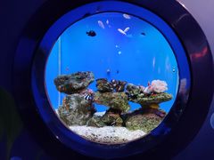 -海合安武汉极地海洋公园