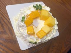 -TD66高山铁皮石斛养生茶饮