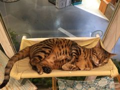-小时光咖啡馆(开森度假森林店)