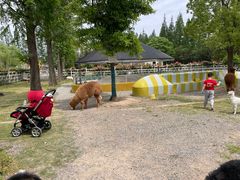 -前小桔亲子创意农场·草莓采摘·露营烧烤