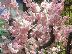 -学习谷日语培训日本留学·多语种外语教学(海淀人大分部)