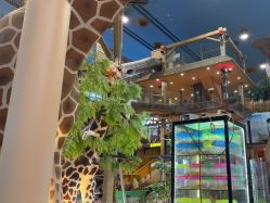 -卡通尼·Safari非洲探索乐园·生日会(金桥国际商业广场店)