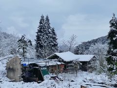 -武陵山森林公园