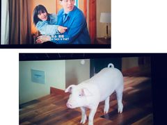 -中影嘉华国际影城(大芬星都里店)