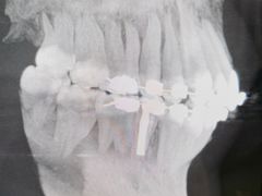 -联合口腔(西环诊所)