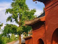 -洛阳白马寺
