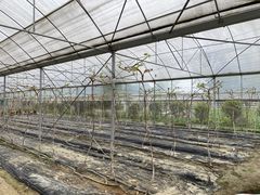 -洪湖家庭农场·团建·露营·会议