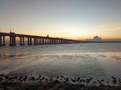 -宝安西湾红树林湿地公园