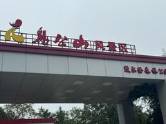 -波尔登森林公园