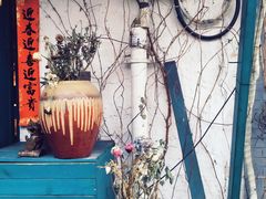 -Sirena海妖日咖夜酒