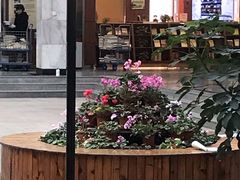 -沈阳师范大学-图书馆