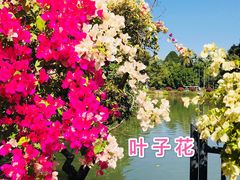 -中国科学院西双版纳热带植物园