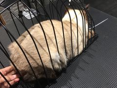-MOLLY'S萌宠生活馆