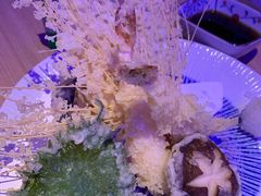 -琴寿司居酒屋(中山广场店)