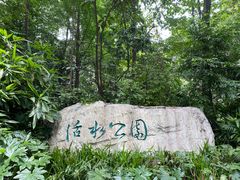 -成都市活水公园