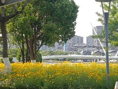 -映月湖中央公园