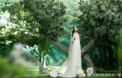 点击看大图 -维纳斯婚纱摄影(鞍山店)