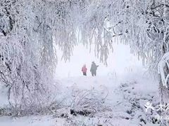 -雾凇岛