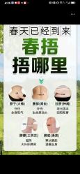 -金美秀养生瘦身