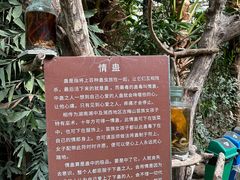 -呀路古热带植物园