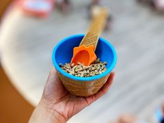 -猪盟咖啡店(玖洲道店)