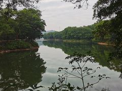 -红花湖景区
