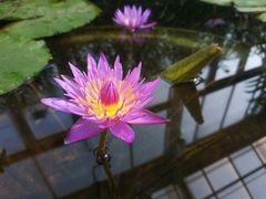 -国家植物园