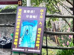-鹿院坪生态旅游景区