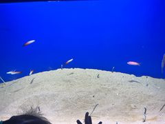 -广州海洋馆