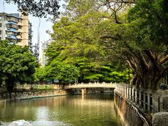 -晓港公园