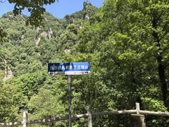-王顺山国家森林公园