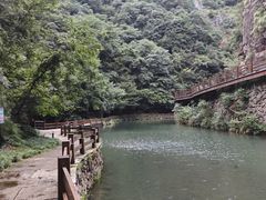 -花溪风景区