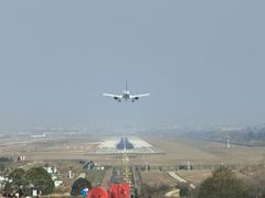 -空港花田景区