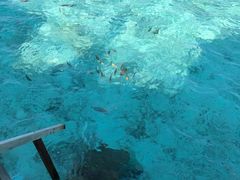 -中央格兰德岛温泉度假酒店 - 全包