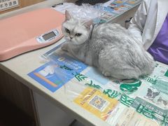 -瑞派宠物医院·24h·骨外科·皮肤科·全科宠物医疗转诊中心(沈阳浑南院)