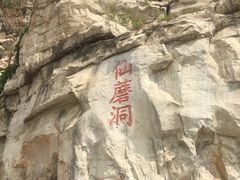 -仙蘑洞