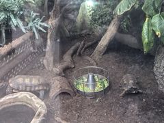 -香港海洋公园
